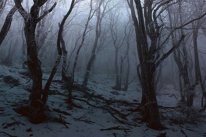 35dbc35ea7d87a41a3a49e09f74670d9--scary-places-haunted-places.png